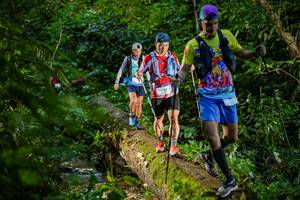 BIB: 
                            <button type="button" onclick="openModal(18922651)" class="btn btn-primary btn-sm float-right btn-popup" data-toggle="modal" data-target=".modal-high-quality">
                        <i class="fas fa-shopping-cart"></i> Add to Cart
                    </button>
                                            <button type="button" onclick="isThisMe(18922651, true)" class="btn btn-success btn-sm float-right btn-popup btn-isme hidden" data-toggle="tooltip" data-placement="bottom" title="นี่คือรูปของคุณใช่ไหม คลิกที่นี่เพื่อเอาเข้าอัลบั้ม">
                        <i class="fas fa-plus"></i> Add to album
                    </button>
                    <button type="button" onclick="isThisMe(18922651, false)" class="btn btn-warning btn-sm float-right btn-popup btn-isnotme hidden">
                        <i class="fas fa-ban"></i> Remove from album
                    </button>